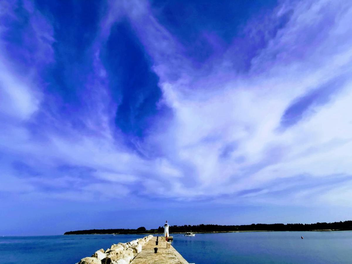 Aria Deluxe Superior 5 Star Apartment, Your Piece Of Heaven By The Sea & Park, With Sea & Park View Novigrad  Exterior photo